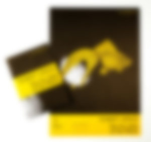 Alt Text 3